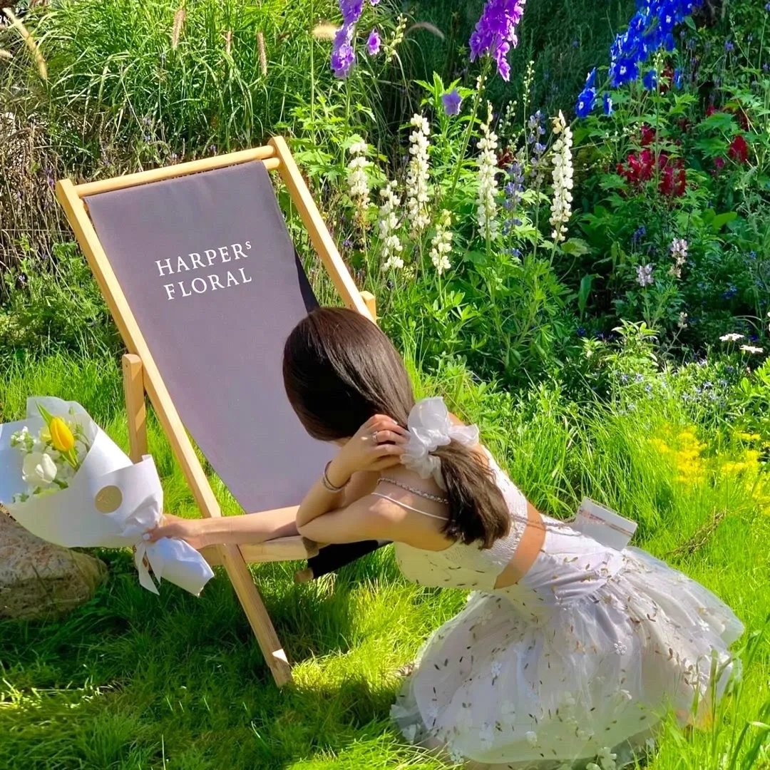 我的英雄学院：两位英雄